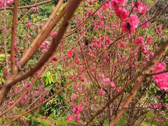 -白水带风景区体育公园