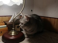 -隅cafe(傅厚岗店)