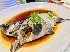古法蒸青斑-荣粤酒家·融合粤菜