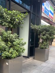 -不迫先生专业男士剪发