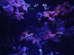 -成都浩海立方海洋公园