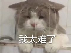 -S Team剧情密室(杭州龙翔桥店)