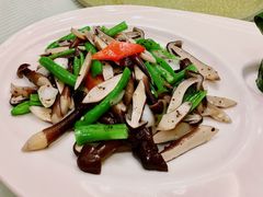 鸡纵菇-同济大酒店(绿宝广场店)