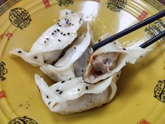 锅贴-汪记大王锅贴(成山路店)