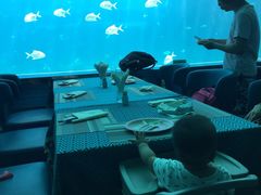 -瑞德姆美人鱼海底演艺主题餐厅(亚龙湾店)