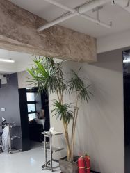 -宫铭烫发染发接发店