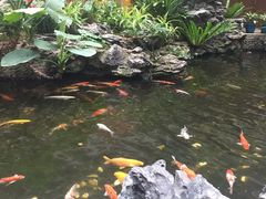 -白天鹅宾馆·流浮阁咖啡厅