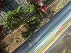 -京东养车(立汤路店)