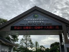 -中国大熊猫保护研究中心雅安碧峰峡基地