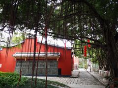 -乌山风景区