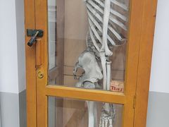 -上海市位育初级中学