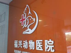 -瑞派福兴宠物医院犬猫全科·骨科·中西医结合(河东店)