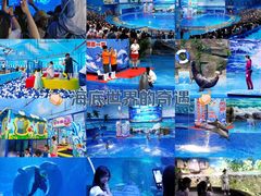 -多彩贵州城极地海洋世界