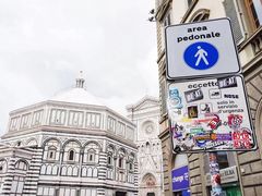 -圣母百花大教堂穹顶