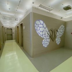 -纯粹医美