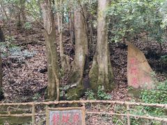 -昆明青龙峡风景区