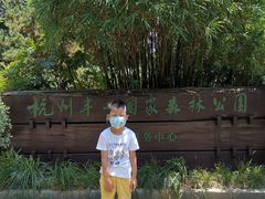 -杭州半山国家森林公园