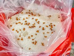 -矮人松糕(小南店)