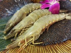 -千寻山野烤肉(中关村店)