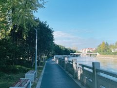 -嘉定紫藤园