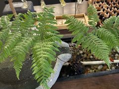 -予厘·推拿按摩·精油SPA(憩舍长安店)