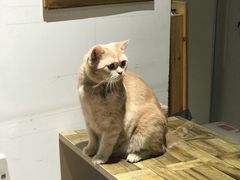 -小时光咖啡馆(开森度假森林店)