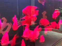 -天水华辰大酒店