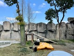 -上海野生动物园