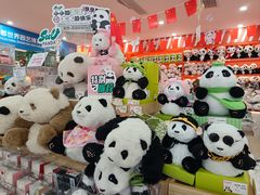 -熊猫邮局(少城店)
