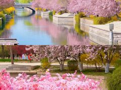-元大都城垣遗址公园