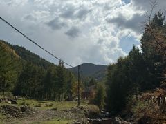 -苏木山森林公园