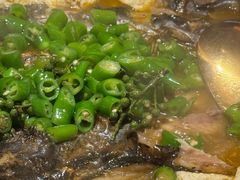 -探鱼·鲜青椒爽麻烤鱼(北京路天河城店)