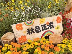 -北京十三陵国家森林公园蟒山景区