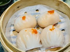 -海王老记