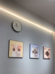 -洗脸猫·洗脸吧
