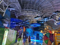 -烟台海昌鲸鲨海洋公园