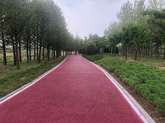 -羊亭河湿地公园