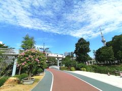 -文华公园(禅城区)