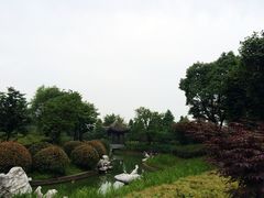 -无锡梁鸿湿地丽笙度假酒店·流觞西餐厅