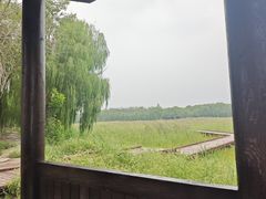 -西青郊野公园