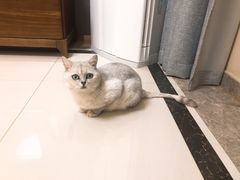 -黑皮烧烤(民意四路店)