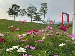 -钟山体育运动公园