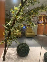 -圣轩·诗安国际母婴会所(渝中店)