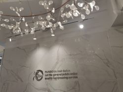 -潘多拉Hairsalon
