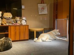-大江户·温泉洗浴(浑南店)