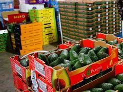 -东方鼎信农副产品交易中心
