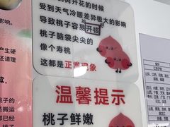 -老袁家蜜桃农场·阳山水蜜桃