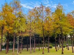 -晓港公园