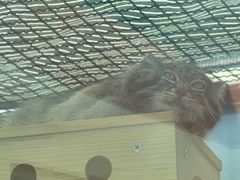 -青藏高原野生动物园