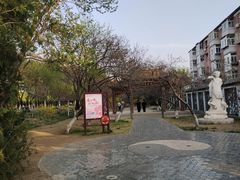 -桃花堤公园